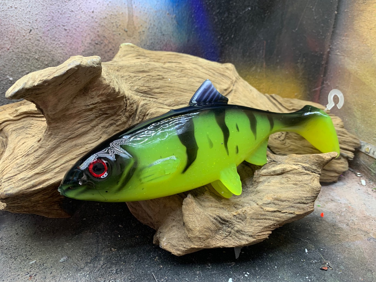 Rocking Roach 18cm